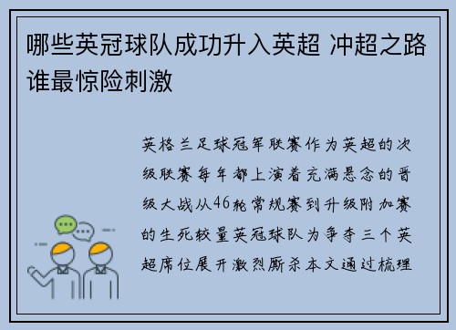 哪些英冠球队成功升入英超 冲超之路谁最惊险刺激